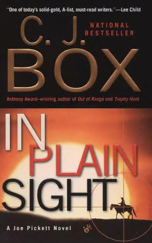 In Plain Sight