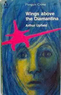 Wings above the Diamantina