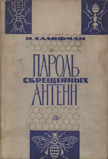 Пароль скрещенных антенн
