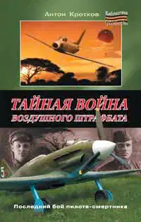 Тайная война воздушного штрафбата