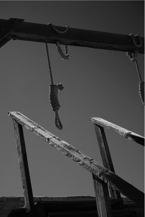 Longarm and Hangman's Vengeance