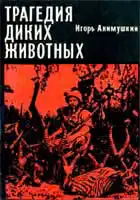 Трагедия диких животных