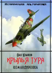 Крылья Тура. Командировка
