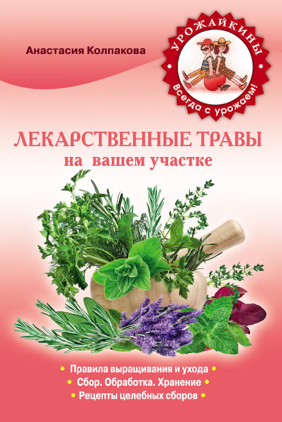 Лекарственные травы вашем на участке
