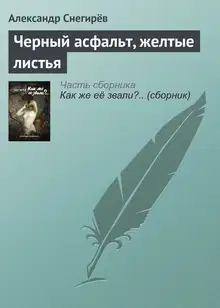 Черный асфальт, желтые листья