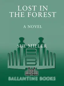 Lost in the Forest
