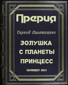 Золушка с планеты принцесс