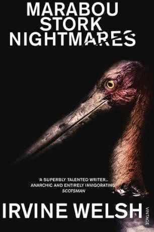 Marabou Stork Nightmares