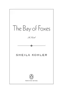 The Bay of Foxes
