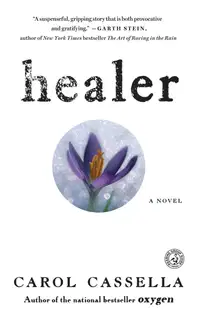 Healer: A Novel
