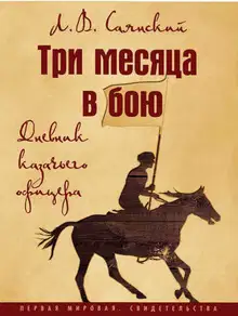 Три месяца в бою. Дневник казачьего офицера