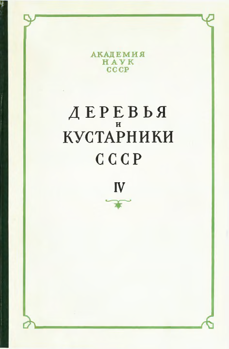 Деревья и кустарники СССР. Дикорастущие, культивируемые и перспективные для интродукции. IV