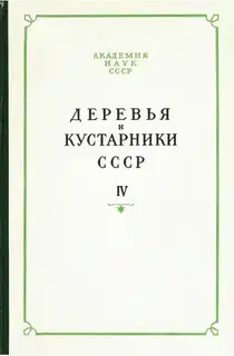 Деревья и кустарники СССР. Дикорастущие, культивируемые и перспективные для интродукции. IV