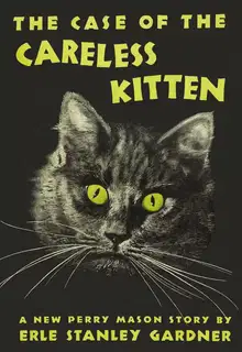 The Case of the Careless Kitten