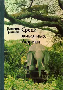 Среди животных Африки