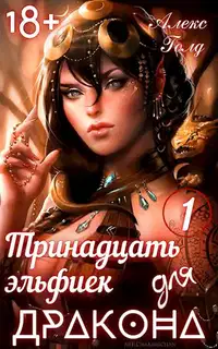Тринадцать эльфиек для дракона. Том 1