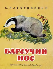 Барсучий нос