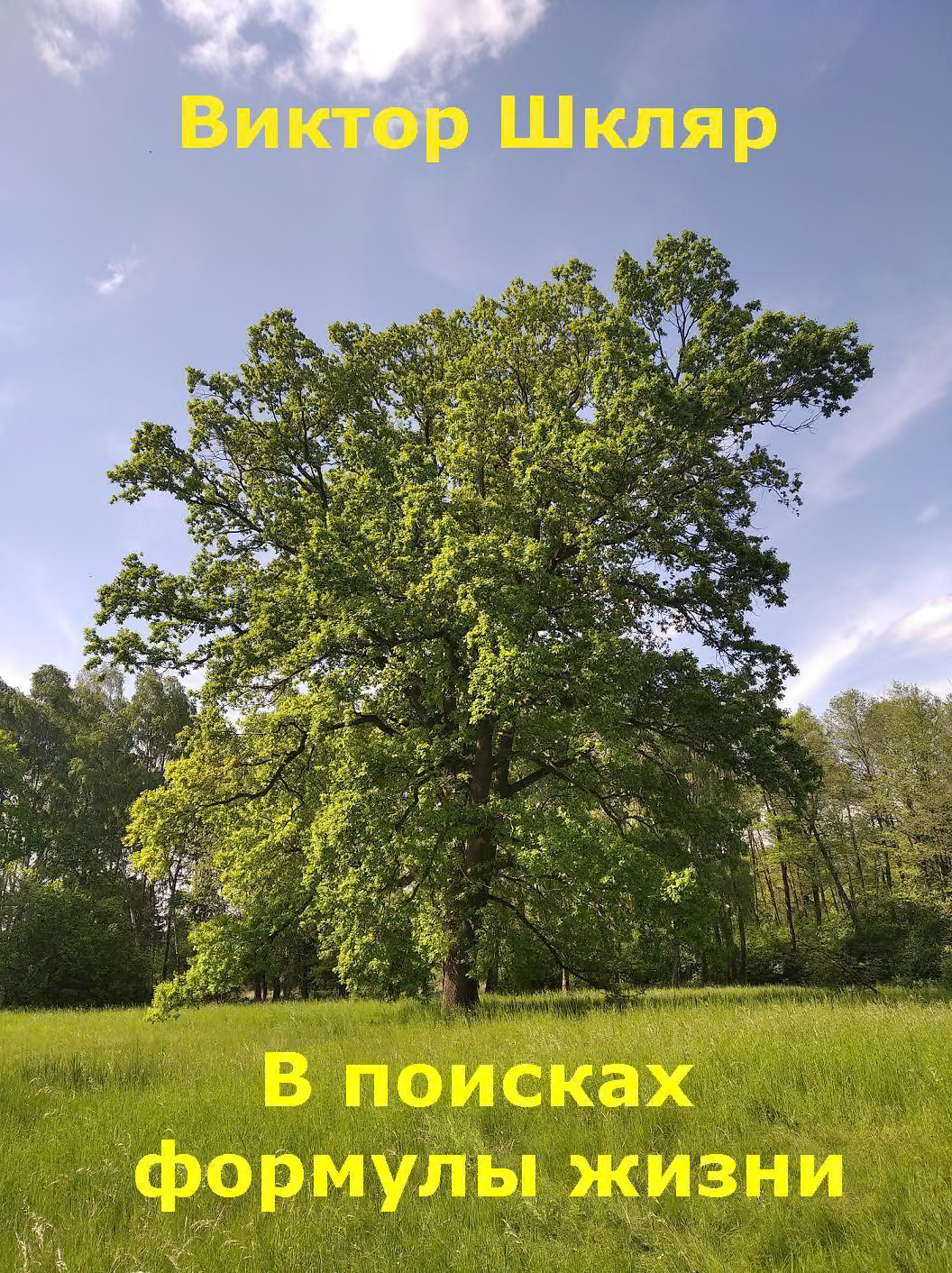 В поисках формулы жизни