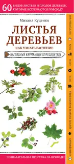 Листья деревьев. Как узнать растение: наглядный карманный определитель