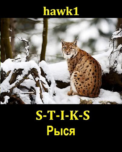 Рыся