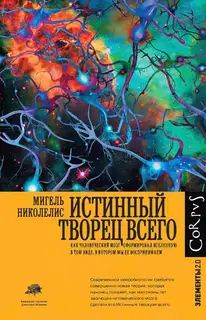 Истинный творец всего. Как человеческий мозг сформировал вселенную в том виде, в котором мы ее воспринимаем