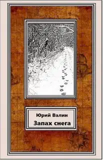 Запах снега