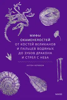 Мифы окаменелостей