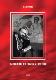 Заметки на полях жизни