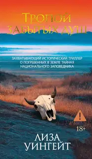 Тропой забытых душ