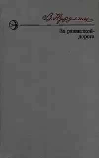 За развилкой — дорога