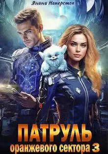 Патруль оранжевого сектора 3
