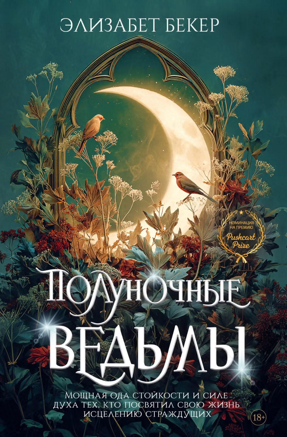 Полуночные ведьмы