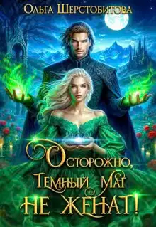 Осторожно, темный маг не женат!