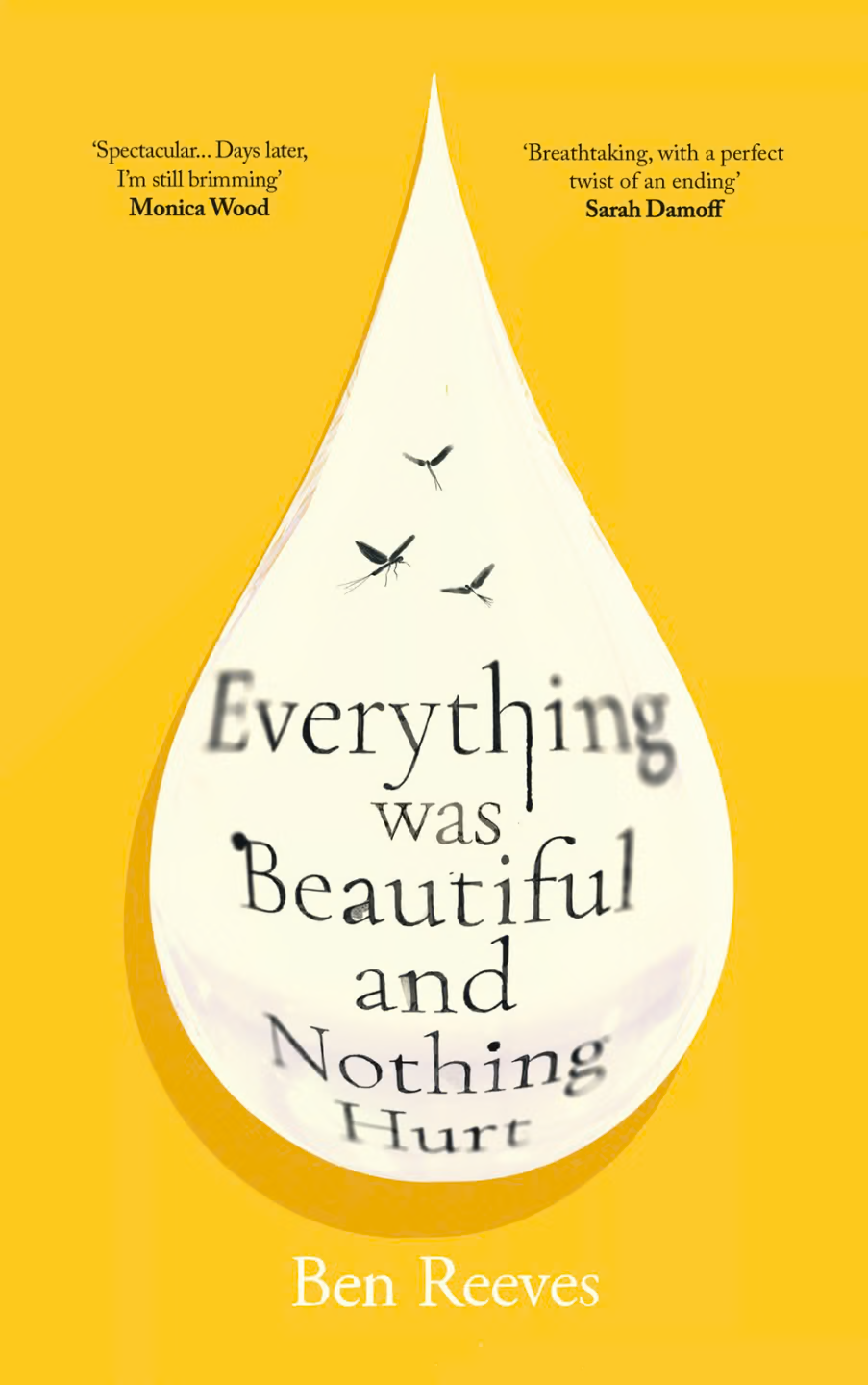 Everything was Beautiful and Nothing Hurt