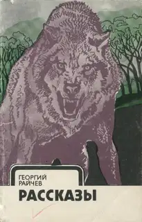 Рассказы