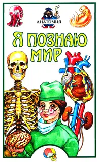 Я познаю мир. Анатомия