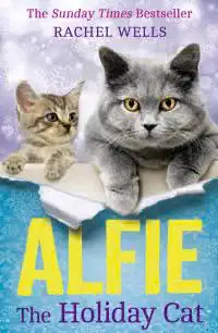Alfie The Holiday Cat. Alfie In The Snow. A Friend Called Alfie